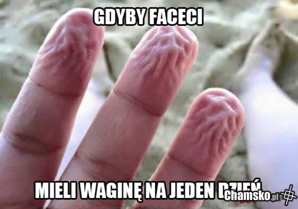 Cos w tym jest...