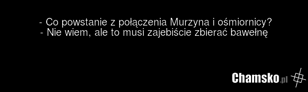 - Co powstanie z połączenia Murzyna i ośmiornicy? - Nie wiem, ale to musi zajebiście zbierać bawełnę