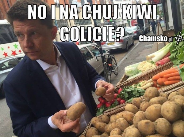 Rysiu w formie