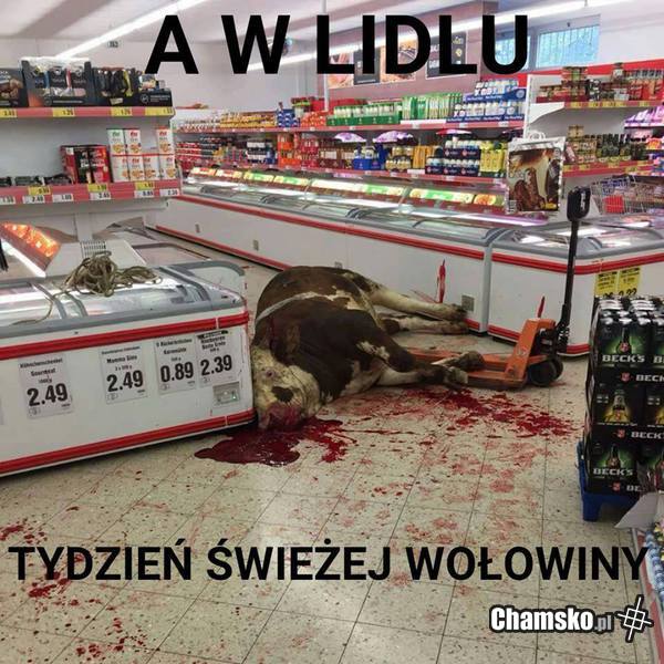Tydzień świeżego mięska