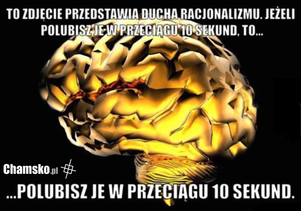 logiczne