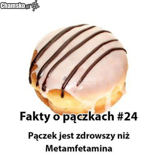 pączek