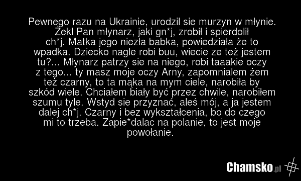 Pewnego razu na Ukrainie, urodzil sie murzyn w młynie. Żekl Pan młynarz, jaki gn*j, zrobił i spierdolił ch*j. Matka jego niezła babka, powiedziała że to wpadka. Dziecko nagle robi buu, wiecie ze też jestem tu?... Młynarz patrzy sie na niego, robi taaakie oczy z tego... ty masz moje oczy Arny, zapom…