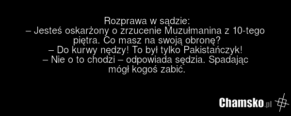 Rozprawa w sądzie: – Jesteś oskarżony o zrzucenie Muzułmanina z 10-tego piętra. Co masz na swoją obronę? – Do kurwy nędzy! To był tylko Pakistańczyk! – Nie o to chodzi – odpowiada sędzia. Spadając mógł kogoś zabić.