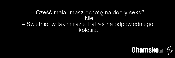 – Cześć mała, masz ochotę na dobry seks? – Nie. – Świetnie, w takim razie trafiłaś na odpowiedniego kolesia.