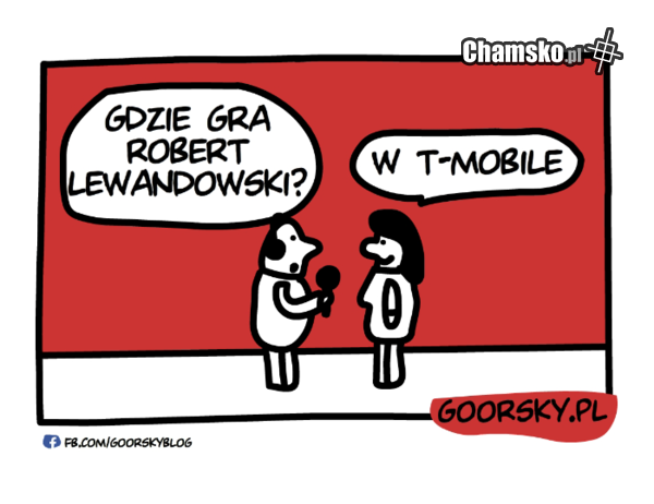 Pytanie