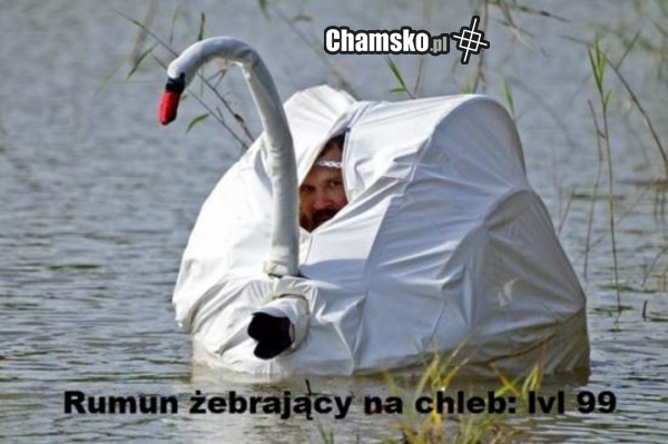 Rumun