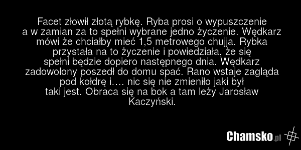 Facet złowił złotą rybkę. Ryba prosi o wypuszczenie a w zamian za to spełni wybrane jedno życzenie. Wędkarz mówi że chciałby mieć 1,5 metrowego chujja. Rybka przystała na to życzenie i powiedziała, że się spełni będzie dopiero następnego dnia. Wędkarz zadowolony poszedł do domu spać. Rano wstaje za…