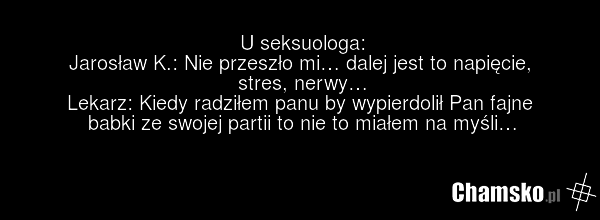 U seksuologa: Jarosław K.: Nie przeszło mi… dalej jest to napięcie, stres, nerwy… Lekarz: Kiedy radziłem panu by wypierdolił Pan fajne babki ze swojej partii to nie to miałem na myśli…