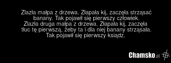 Zlazła małpa z drzewa. Złapała kij, zaczęła strząsać banany. Tak pojawił się pierwszy człowiek. Zlazła druga małpa z drzewa. Złapała kij, zaczęła tłuc tę pierwszą, żeby ta i dla niej banany strząsała. Tak pojawił się pierwszy ksiądz.
