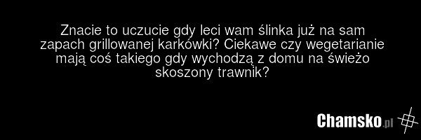 Znacie to uczucie gdy leci wam ślinka już na sam zapach grillowanej karkówki? Ciekawe czy wegetarianie mają coś takiego gdy wychodzą z domu na świeżo skoszony trawnik?