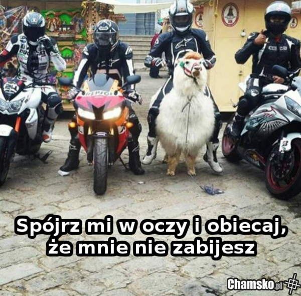 spójrz