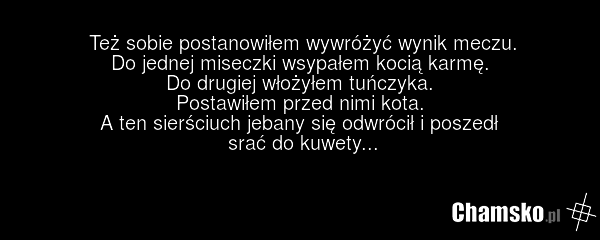 Też sobie postanowiłem wywróżyć wynik meczu. Do jednej miseczki wsypałem kocią karmę. Do drugiej włożyłem tuńczyka. Postawiłem przed nimi kota. A ten sierściuch jebany się odwrócił i poszedł srać do kuwety...
