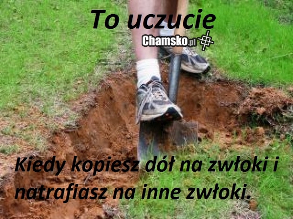Uczucie