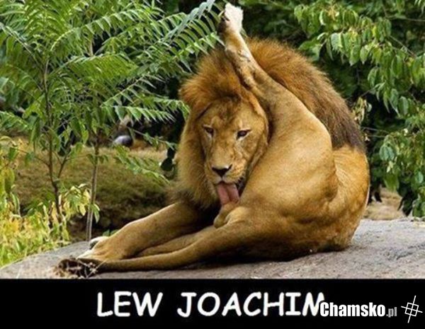 Joachim ,, Jogi '' Lew