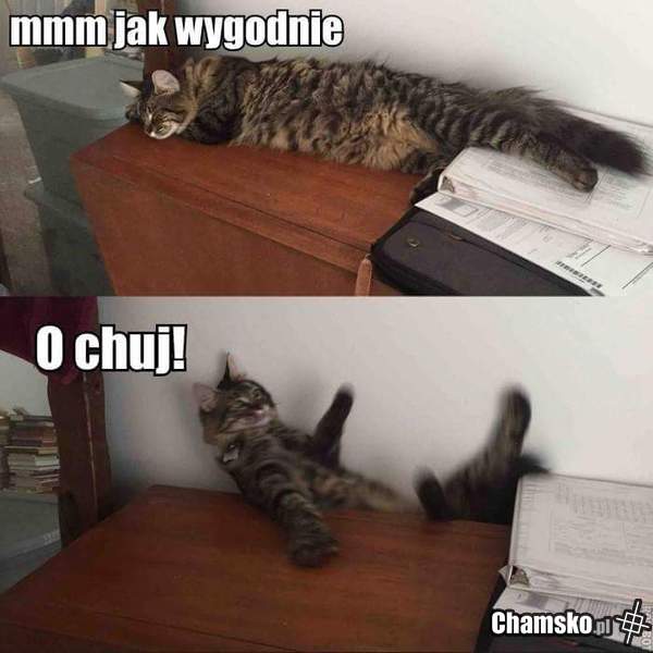 Wpadka