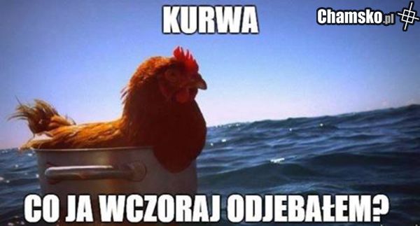 Niedziela rano
