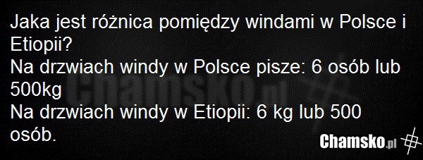 Zagadka