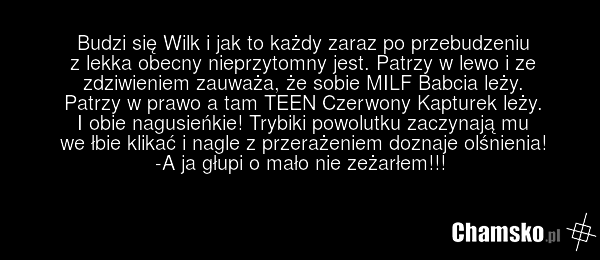 Budzi się Wilk i jak to każdy zaraz po przebudzeniu z lekka obecny nieprzytomny jest. Patrzy w lewo i ze zdziwieniem zauważa, że sobie MILF Babcia leży. Patrzy w prawo a tam TEEN Czerwony Kapturek leży. I obie nagusieńkie! Trybiki powolutku zaczynają mu we łbie klikać i nagle z przerażeniem doznaje…