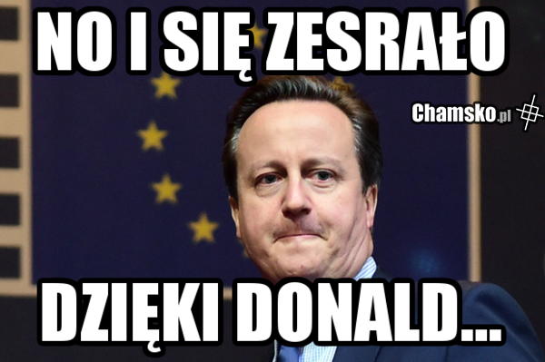 David