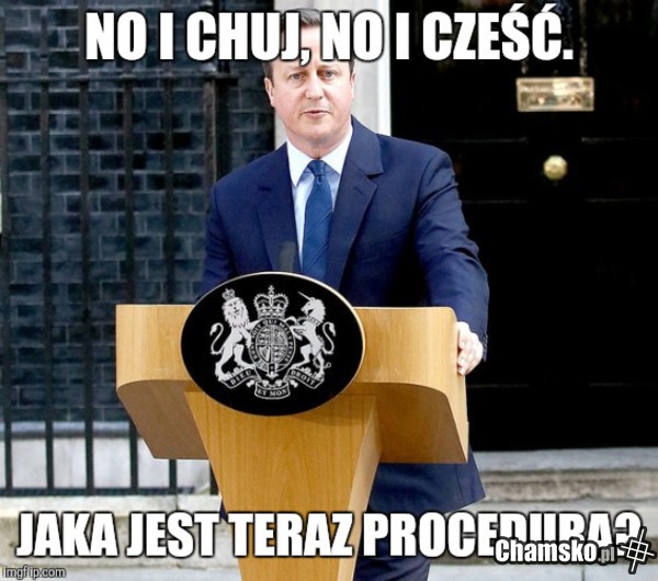Cameron po Brexicie