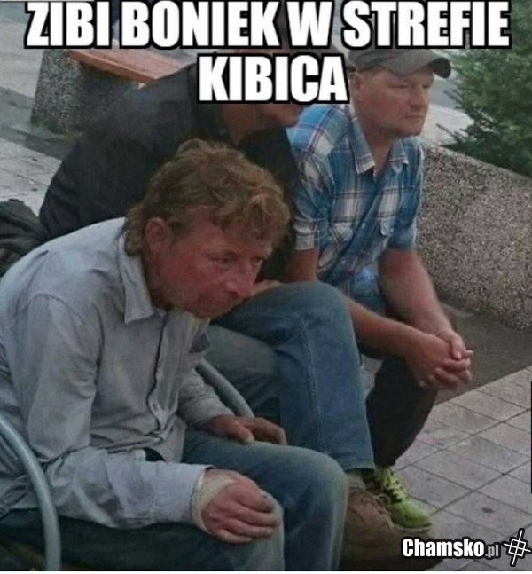 Kibic