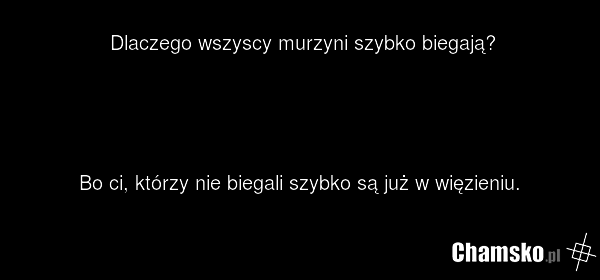 Dlaczego wszyscy murzyni szybko biegają? Bo ci, którzy nie biegali szybko są już w więzieniu.