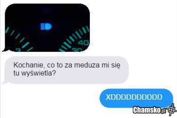 Meduza XDD