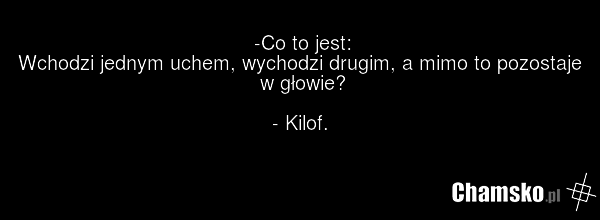 -Co to jest: Wchodzi jednym uchem, wychodzi drugim, a mimo to pozostaje w głowie? - Kilof.