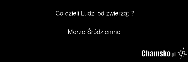 Co dzieli Ludzi od zwierząt ? Morze Śródziemne