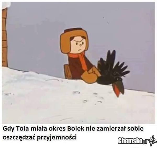 Bolek zoofil