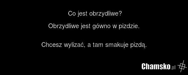 Co jest obrzydliwe? Obrzydliwe jest gówno w pizdzie. Chcesz wylizać, a tam smakuje pizdą.