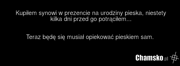 Kupiłem synowi w prezencie na urodziny pieska, niestety kilka dni przed go potrąciłem... Teraz będę się musiał opiekować pieskiem sam.