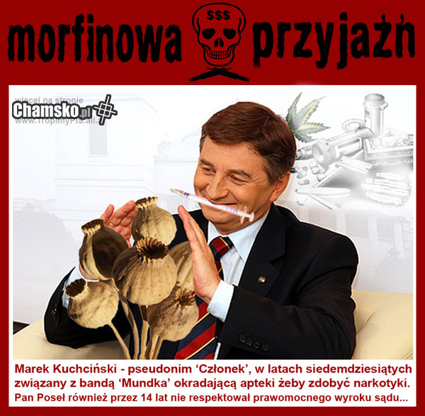 Pseudonim idealny dla gwiazdy PIS