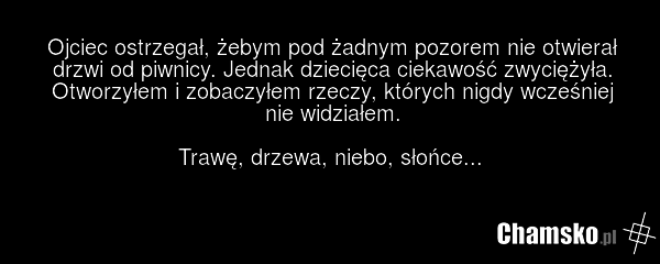 Ojciec ostrzegał, żebym pod żadnym pozorem nie otwierał drzwi od piwnicy. Jednak dziecięca ciekawość zwyciężyła. Otworzyłem i zobaczyłem rzeczy, których nigdy wcześniej nie widziałem. Trawę, drzewa, niebo, słońce...