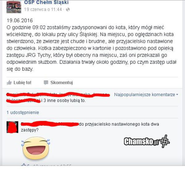 beka z osp