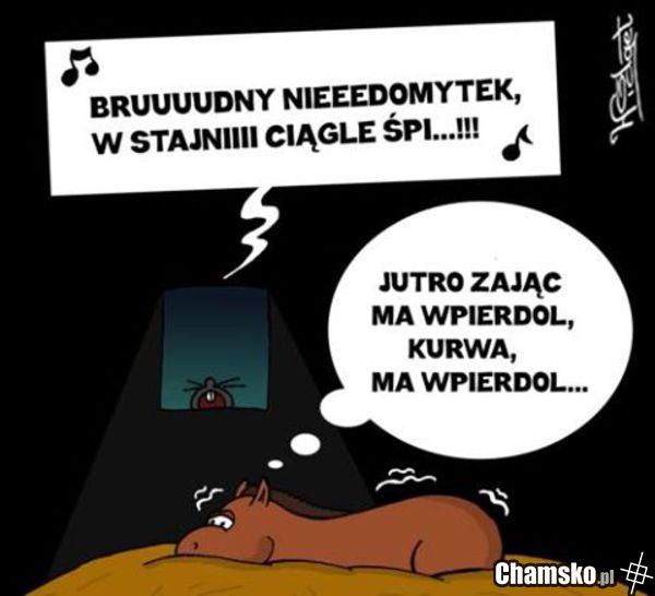 Zając i koń
