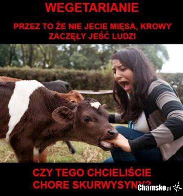 Najpierw wege potem homo XDD