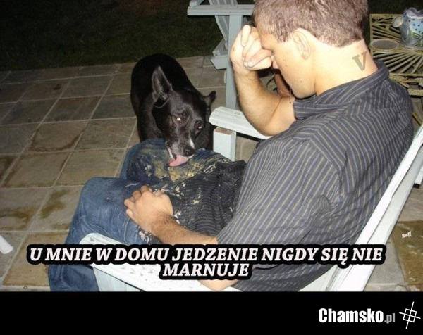 Jedzonko dla psa