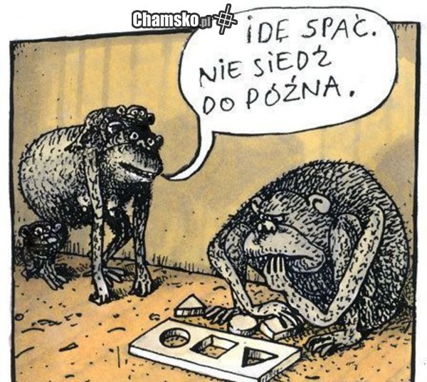 Łamigłówka