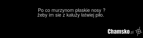 Po co murzynom płaskie nosy ? żeby im sie z kałuży łatwiej piło.