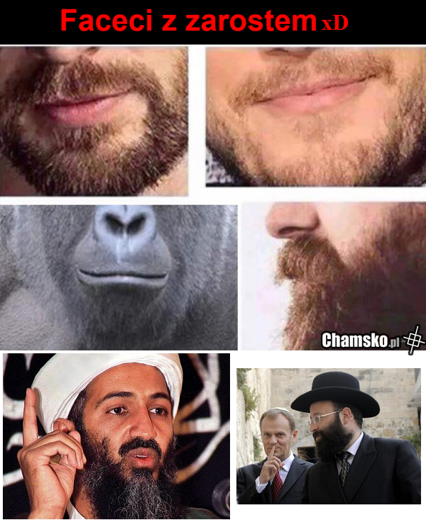 Prawdziwi menszczyźni majo brody xDDD