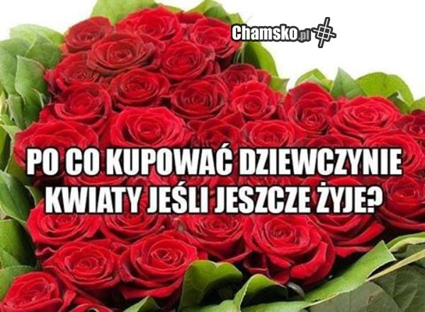 Po co?