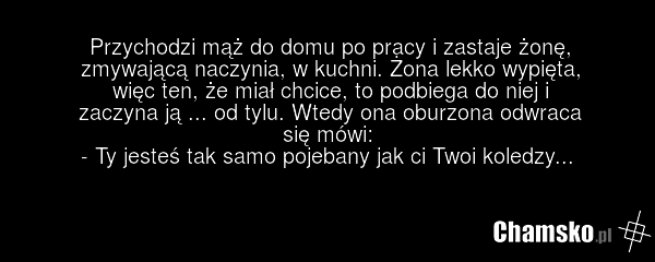 Przychodzi mąż do domu po pracy i zastaje żonę, zmywającą naczynia, w kuchni. Żona lekko wypięta, więc ten, że miał chcice, to podbiega do niej i zaczyna ją ... od tylu. Wtedy ona oburzona odwraca się mówi: - Ty jesteś tak samo pojebany jak ci Twoi koledzy...