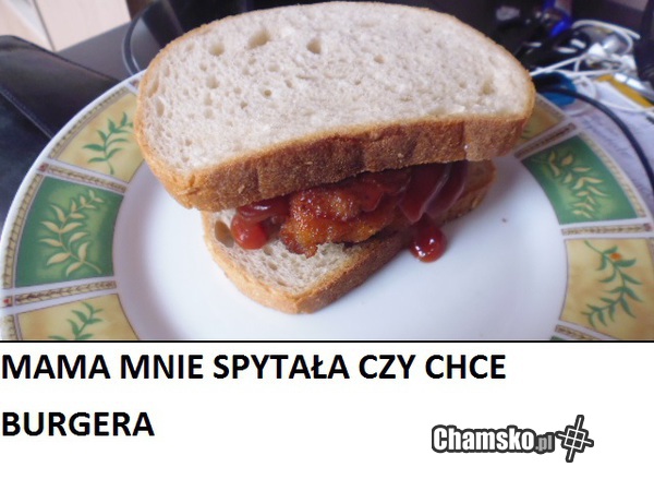 Matka powiedziała że była w maku i ma dla mnie burgera , myslałęm że z maka