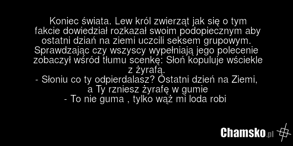 Koniec świata. Lew król zwierząt jak się o tym fakcie dowiedział rozkazał swoim podopiecznym aby ostatni dziań na ziemi uczcili seksem grupowym. Sprawdzając czy wszyscy wypełniają jego polecenie zobaczył wśród tłumu scenkę: Słoń kopuluje wściekle z żyrafą. - Słoniu co ty odpierdalasz? Ostatni dzień…