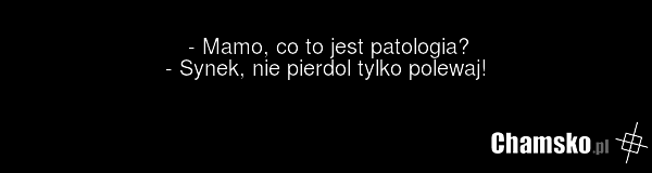 - Mamo, co to jest patologia? - Synek, nie pierdol tylko polewaj!