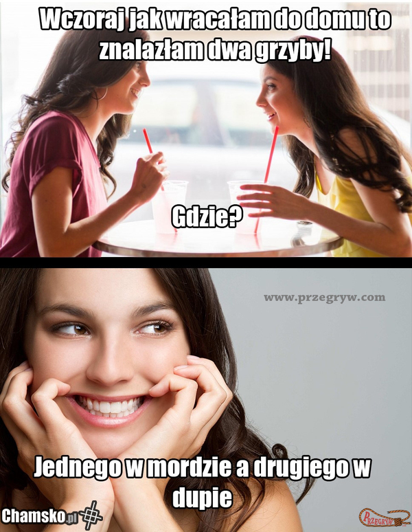 Grzybki
