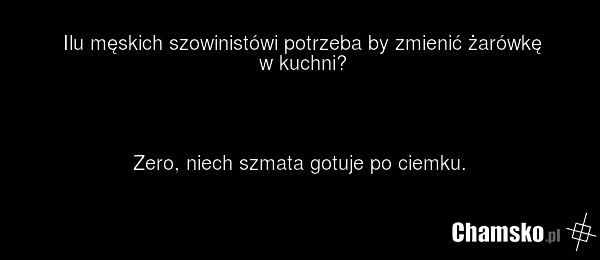 Ilu męskich szowinistówi potrzeba by zmienić żarówkę w kuchni? Zero, niech szmata gotuje po ciemku.