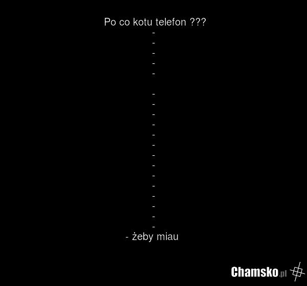 Po co kotu telefon ??? - - - - - - - - - - - - - - - - - - - - żeby miau